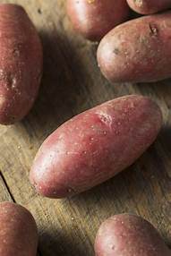 Red fingerling for wholesale large
