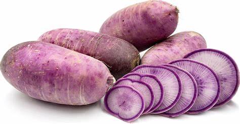 Purple Dikon Radish