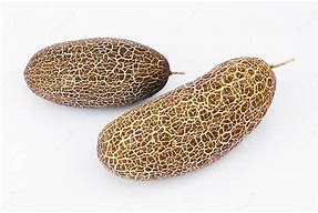 Sikkum Cucumber