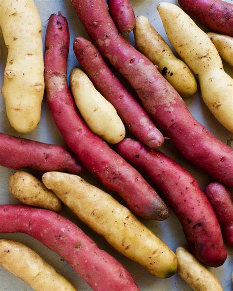 Fingerling Potatoe
