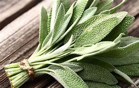 Sage