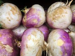 Rutabaga