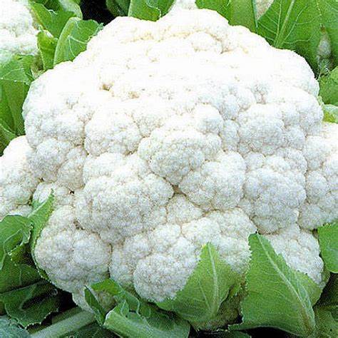 Big Cauliflower