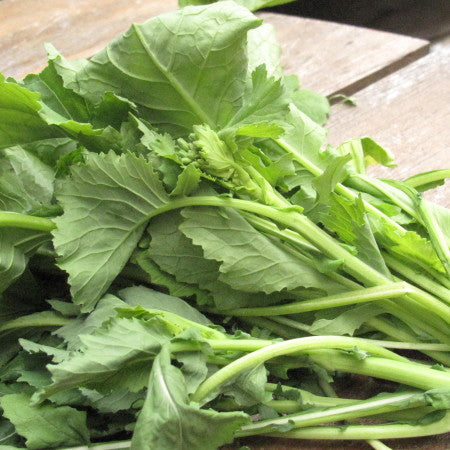 Spigariello liscia