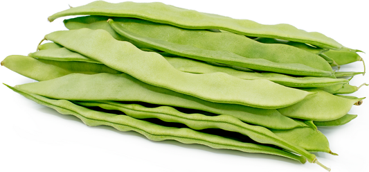 Green flat Bean Romano