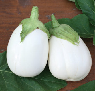 Paloma Eggplant