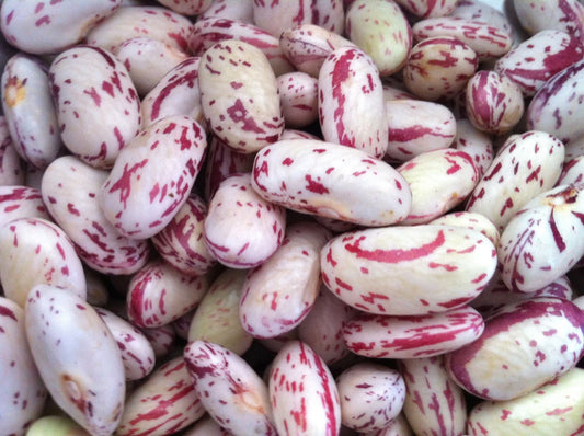 Shelled dry beans
