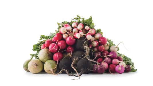 Radish all types