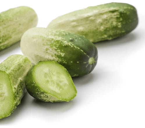Baby Quirk Cucumber