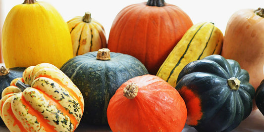 Small winter squash