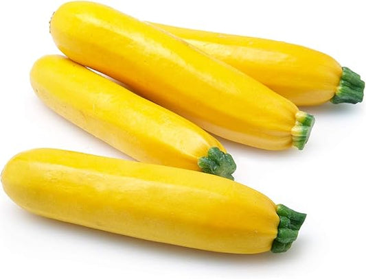 Yellow Zucchini medium