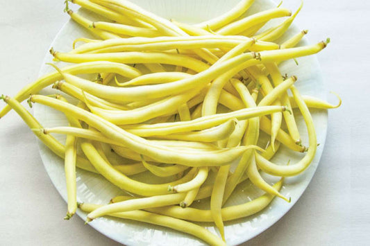 Yellow flat bean romanoh