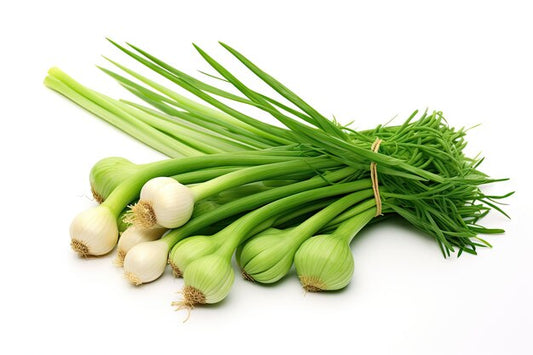 Green Garlic
