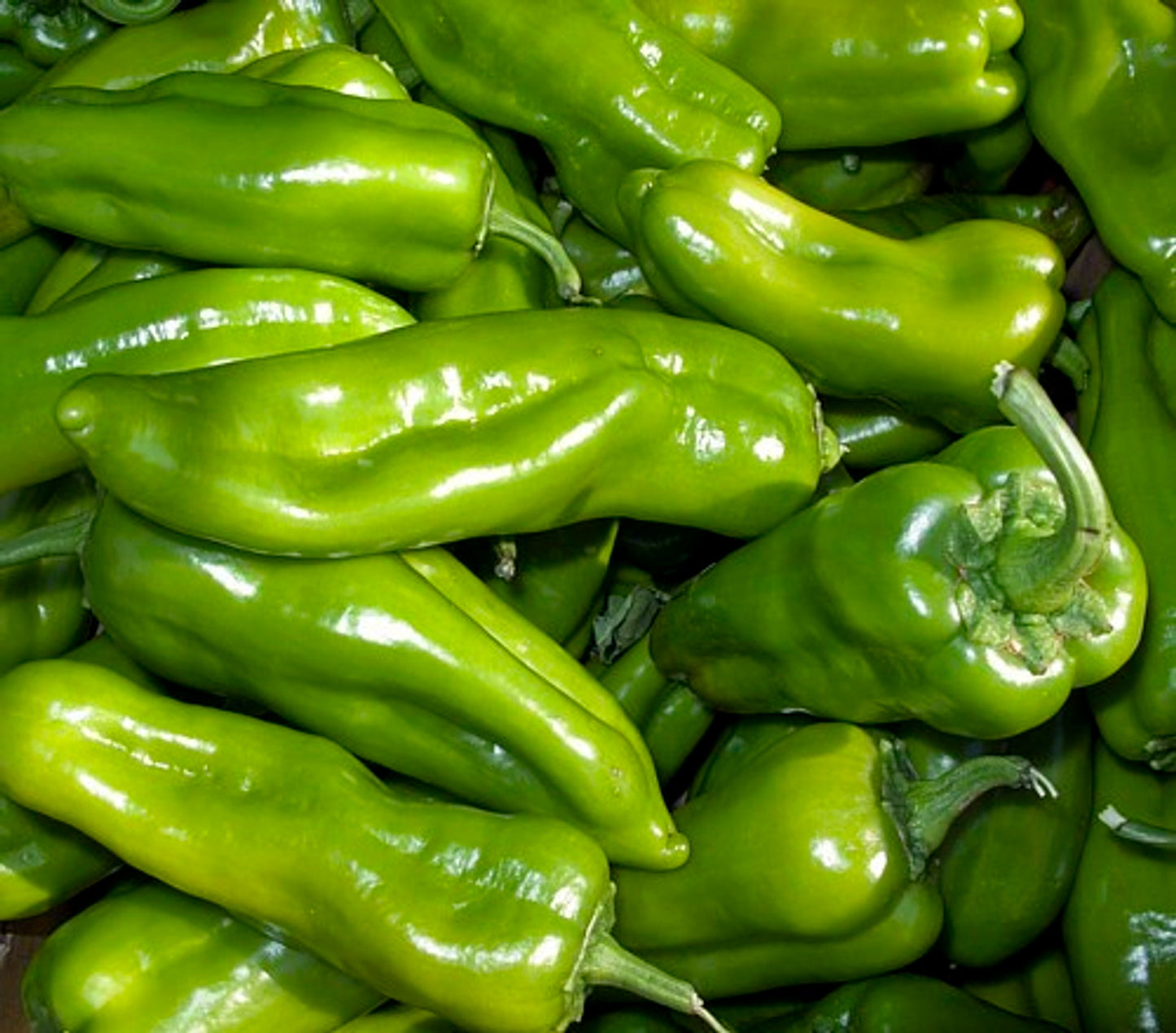 Cubanelle pepper