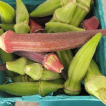 Okra_each