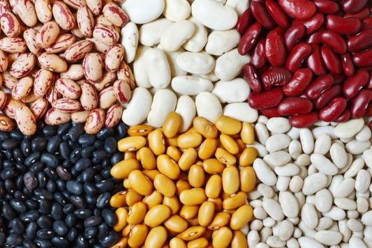Dry beans