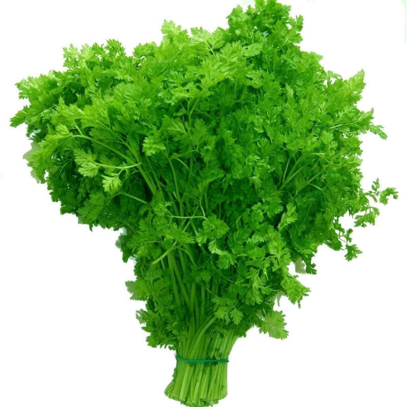Chervil
