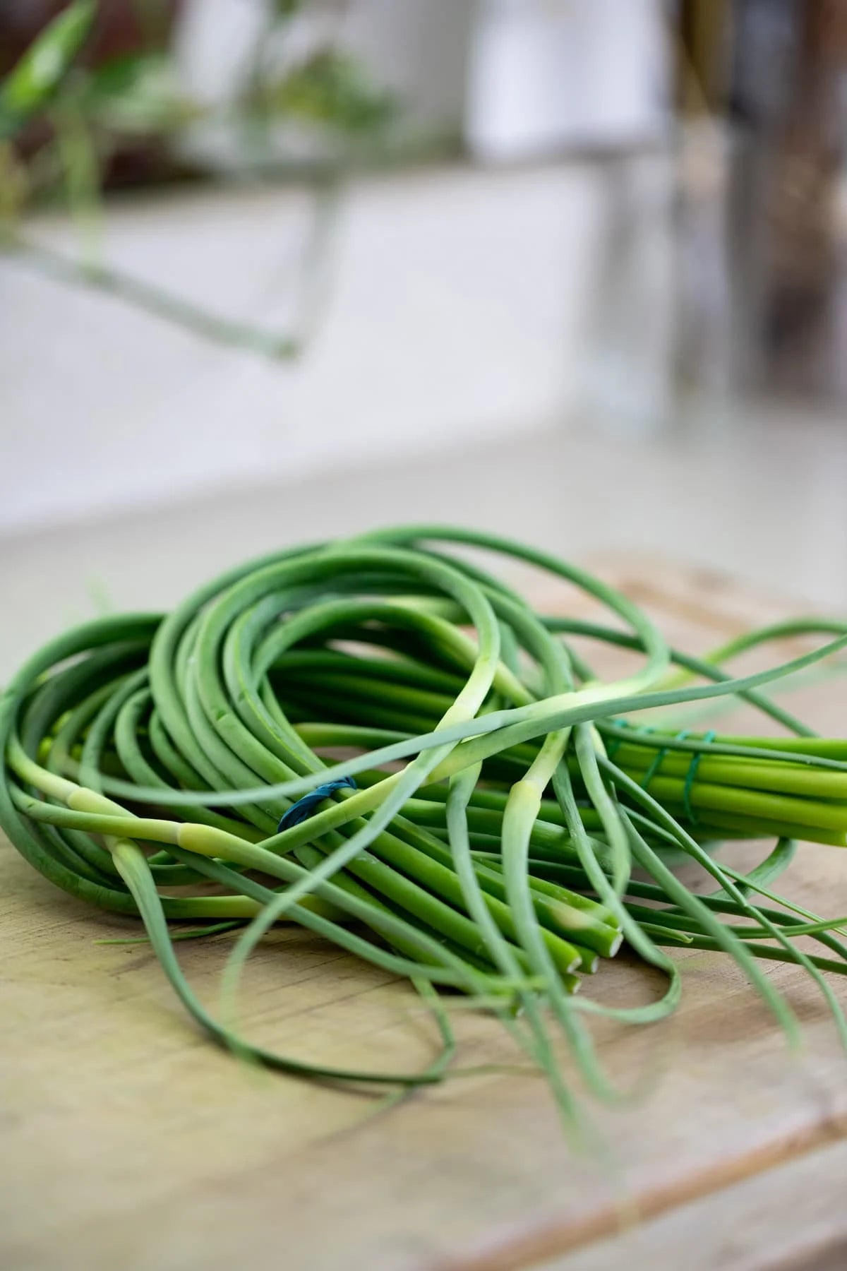 Garlic scape