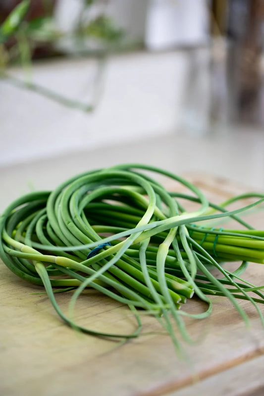 Garlic scape