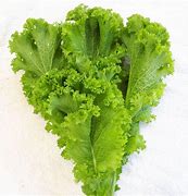 Mustard Green Wave