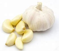 Spring Garlic
