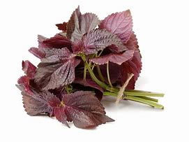 Shiso Red