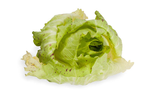 Castelfranco Chicory