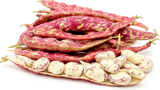 Shelled beans