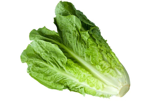 Lettuce - Green Romain
