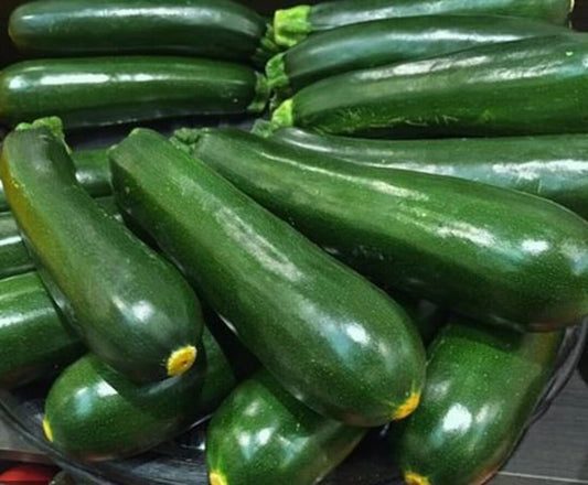 OG Green Zucchini 18lbs