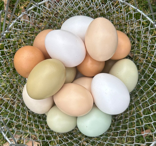 Eggs - Organic