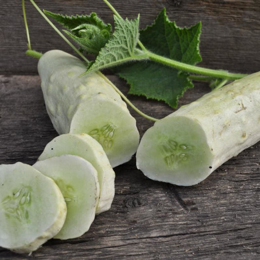Itachi Cucumber