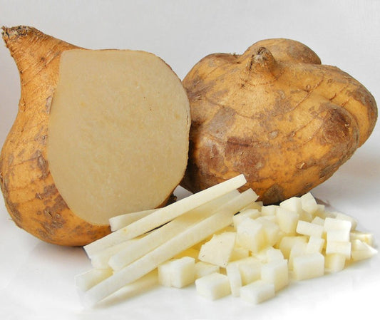 Jicama