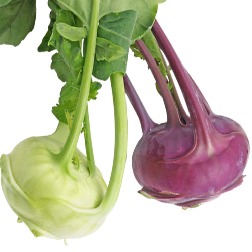 Kohlrabi per pound
