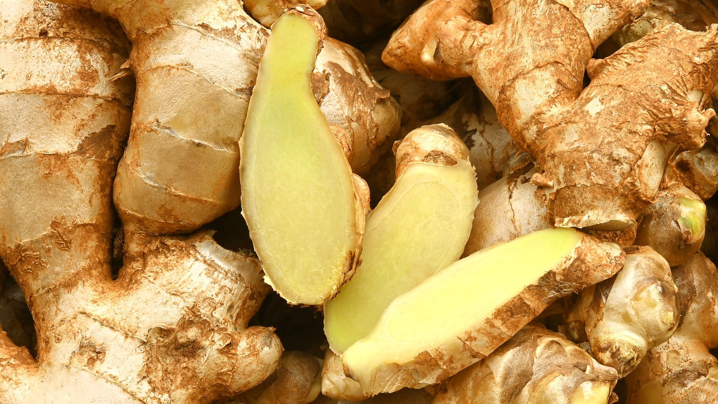 Ginger