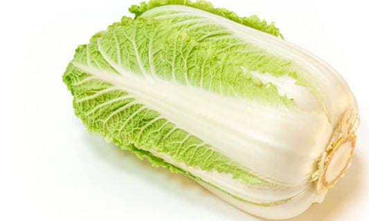 Cabbage - Napa