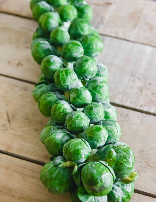 Brussel sprouts stalk