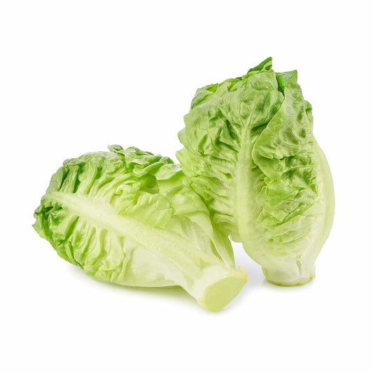 Lettuce Gems Green