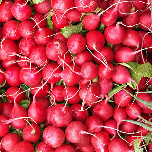 Radish