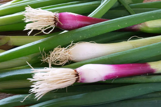 Onions - Spring Red