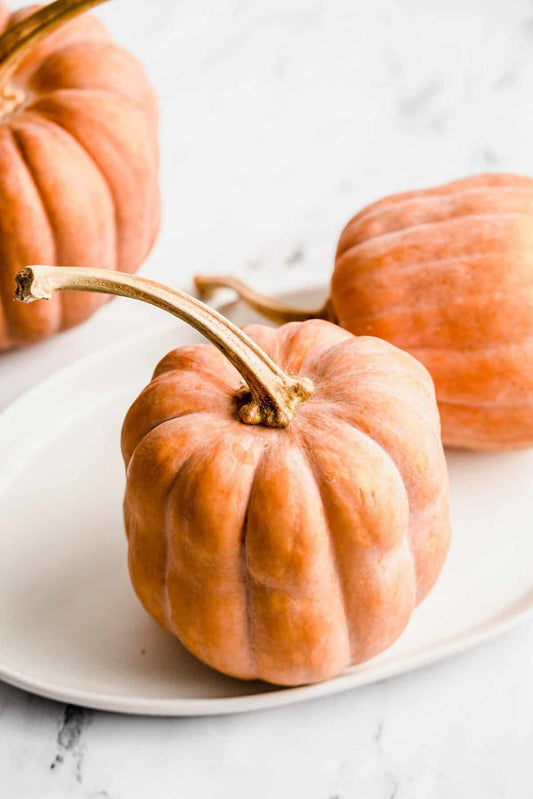 Koginut Squash