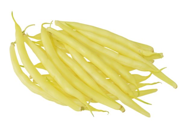 Rocdor yellow - Beans
