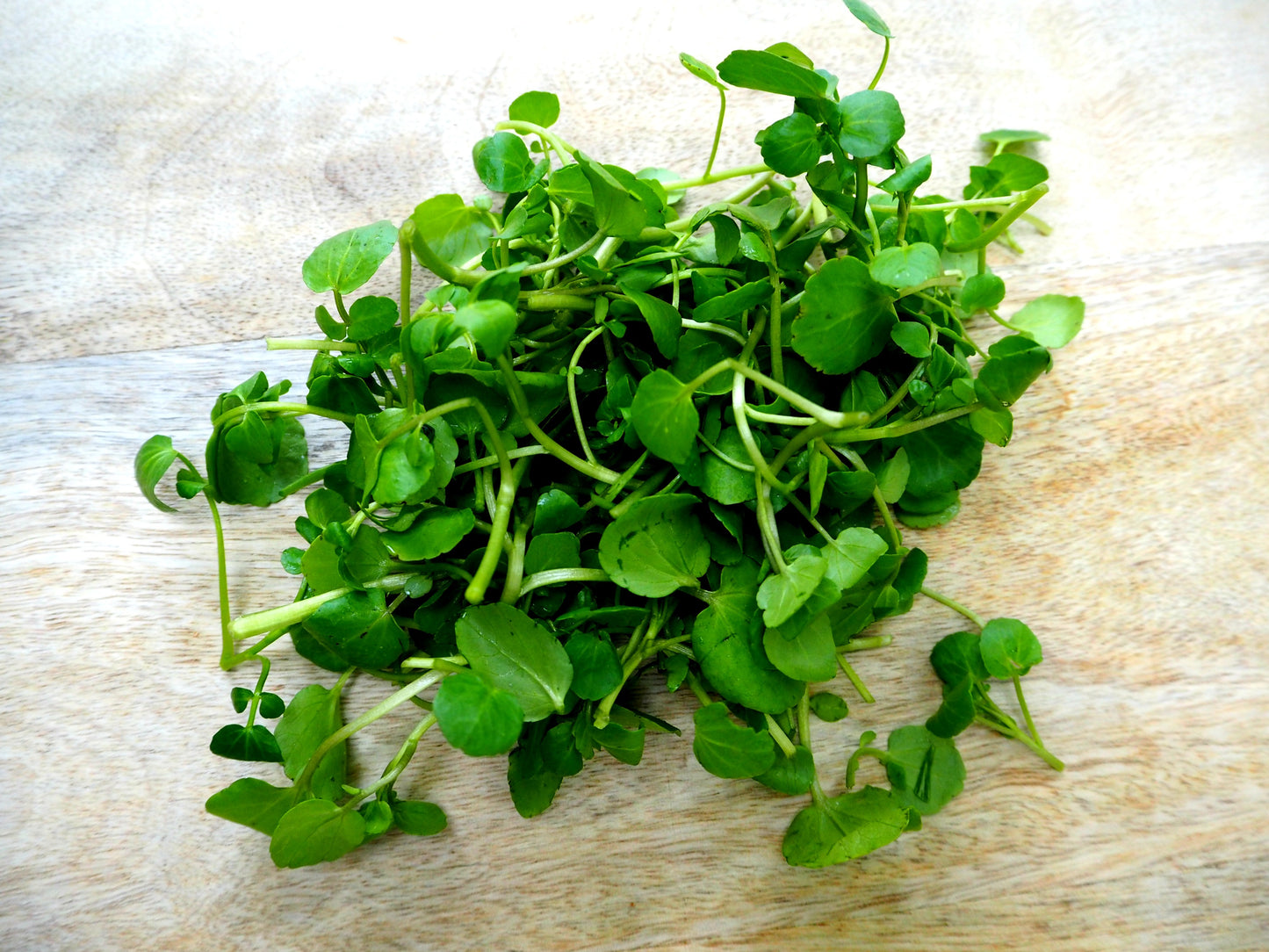 Watercress