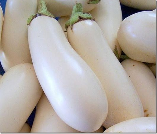 Gretel ling white eggplant